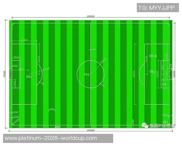 足球场知识全解析从场地布局到比赛规则全面了解足球场的奥秘
